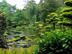 149 PARC ORIENTAL DE MAULEVIER MAINE ET LOIRE 2016 N3_000021